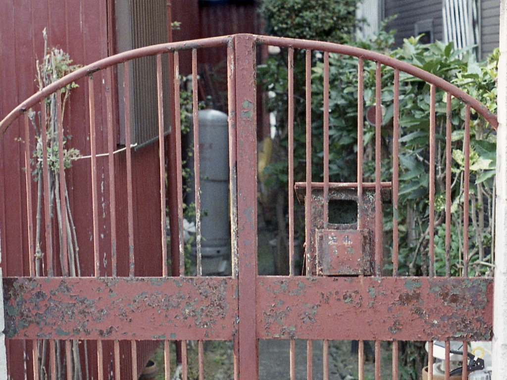 「nostalgia」 (film)