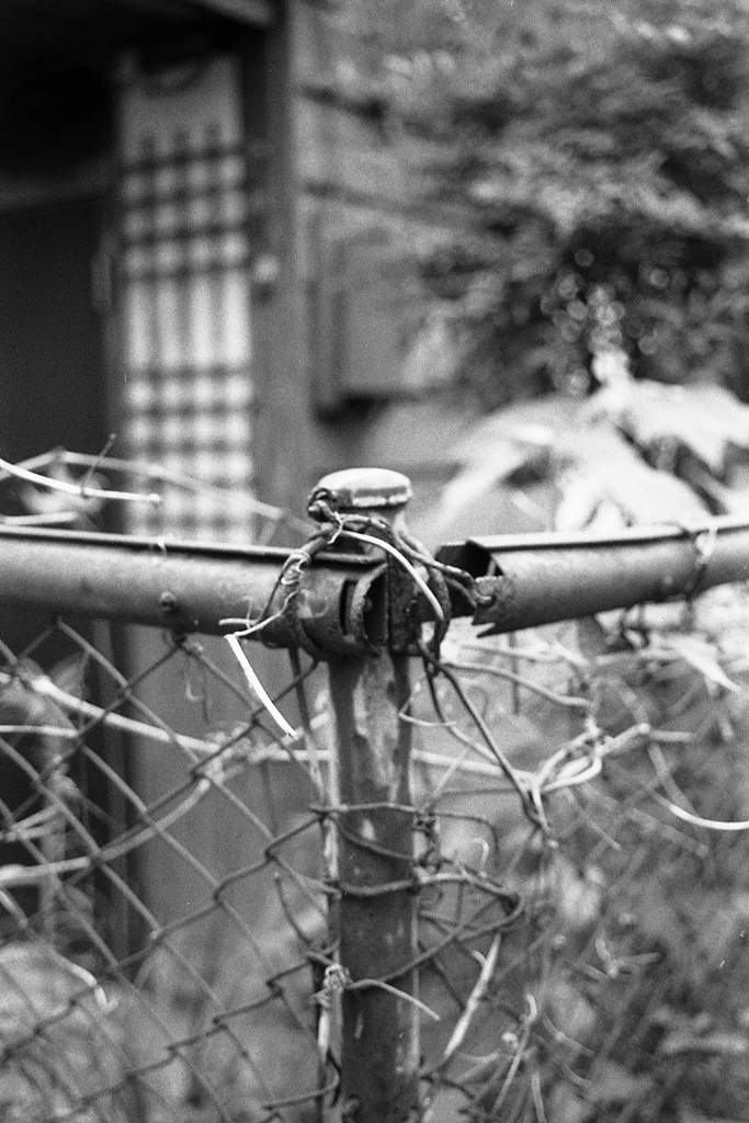 「通りすがりの者です」 (film)