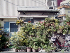 「Scene w bicycle」 (film)