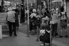 「来るかな～」