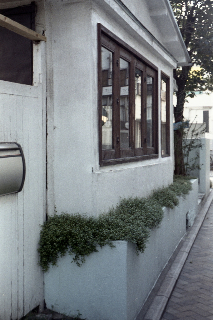 「店先photo」 (film)