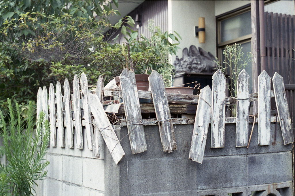 「8/16 ご近所フォト」 (film)