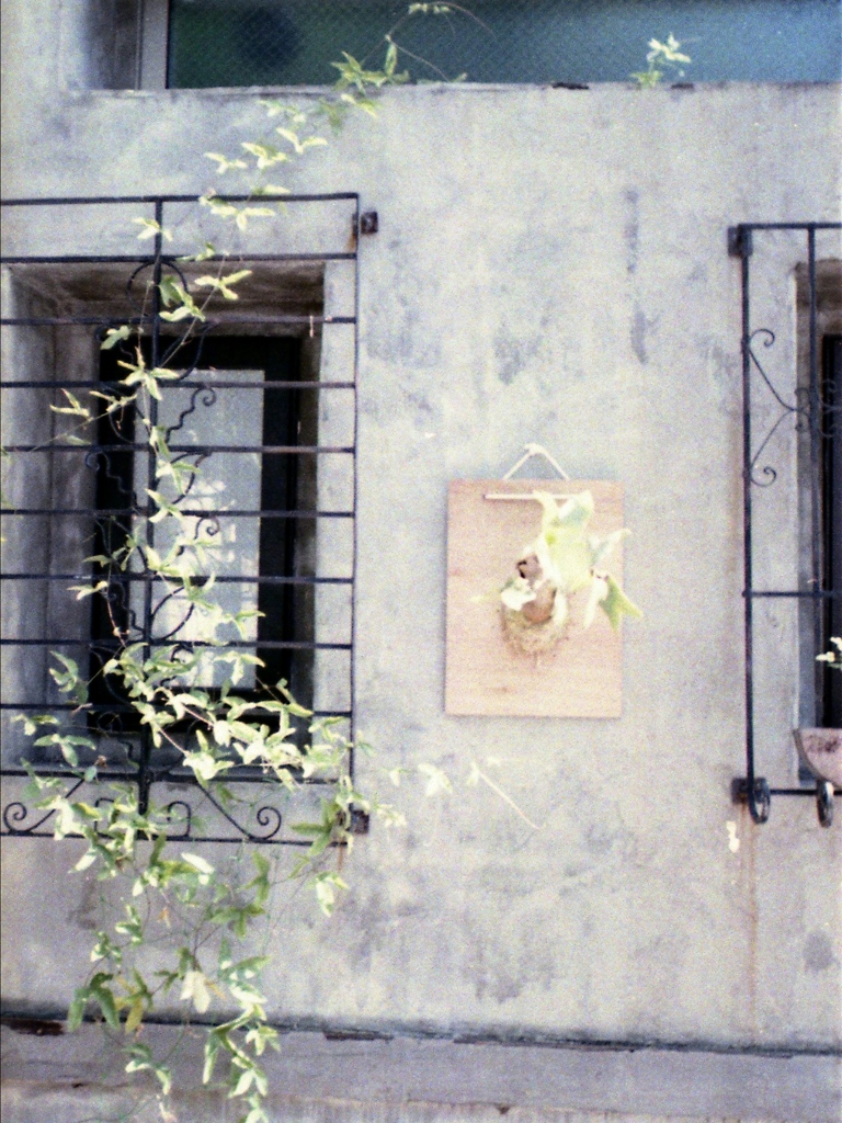 「windows」 (film)