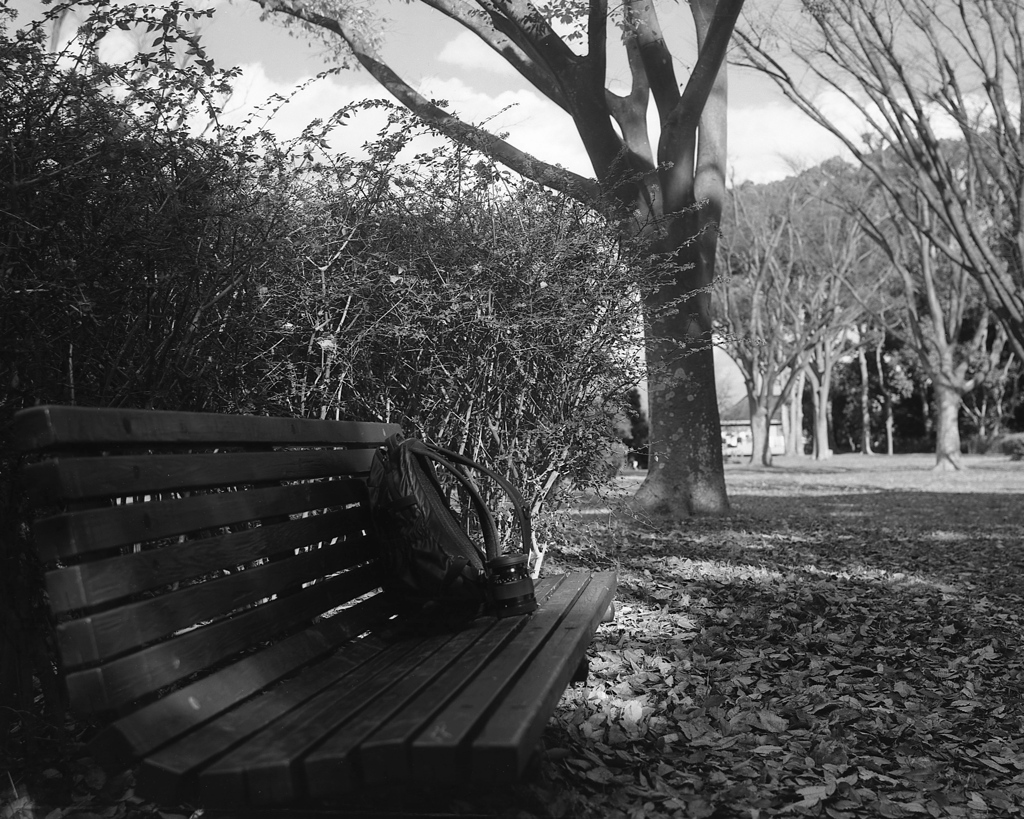 「冬公園」 (film:HR20)