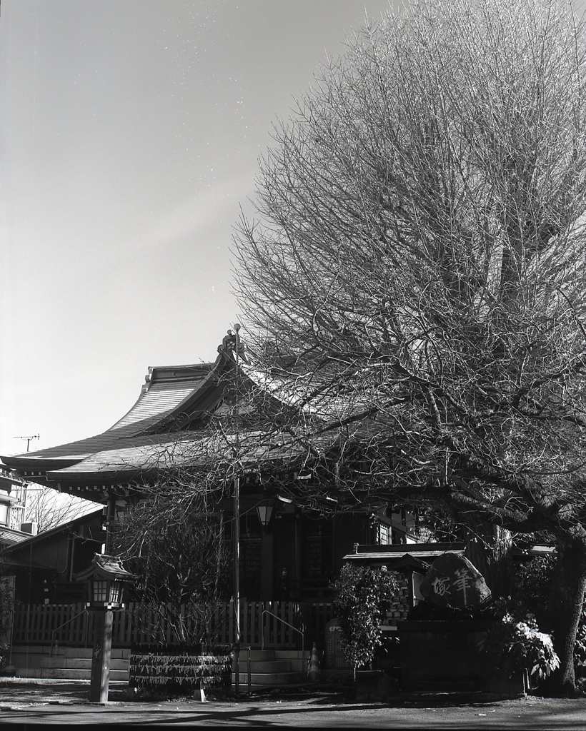 「岡村天満宮」 (film:HR20)