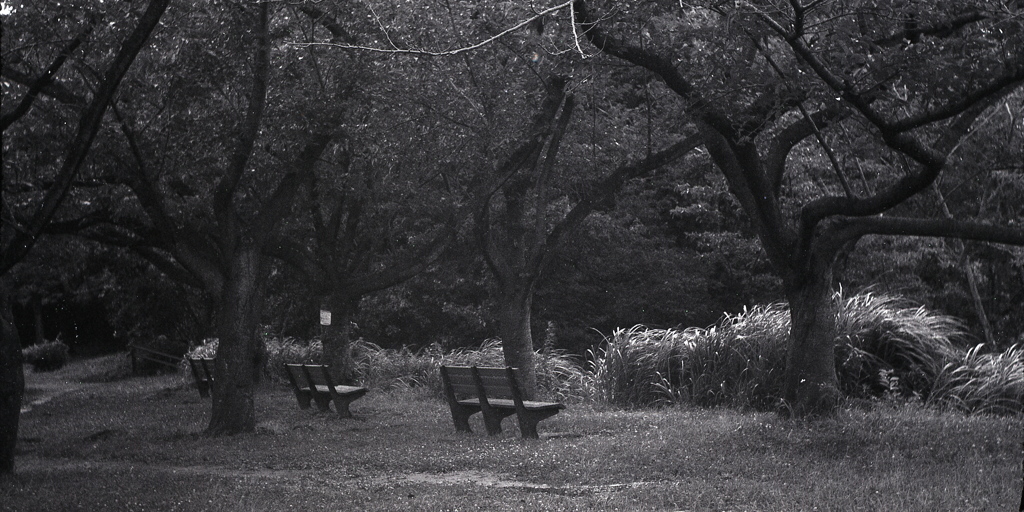 「公園で」 (film)