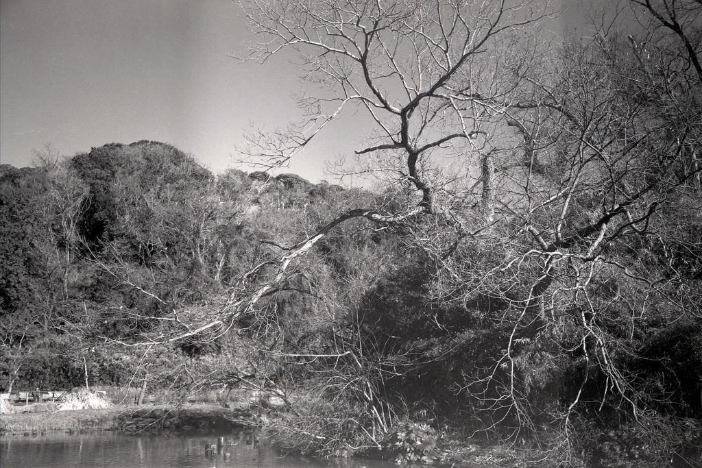 「冬公園」 (film)