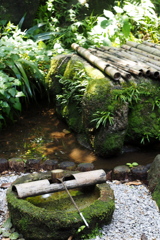 「やっと晴れました」