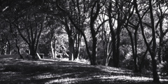 「梅雨の晴れ間に」 (film)