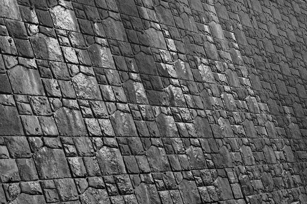 「WALL」 (diigital)