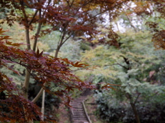 「久良岐能舞台 庭01」