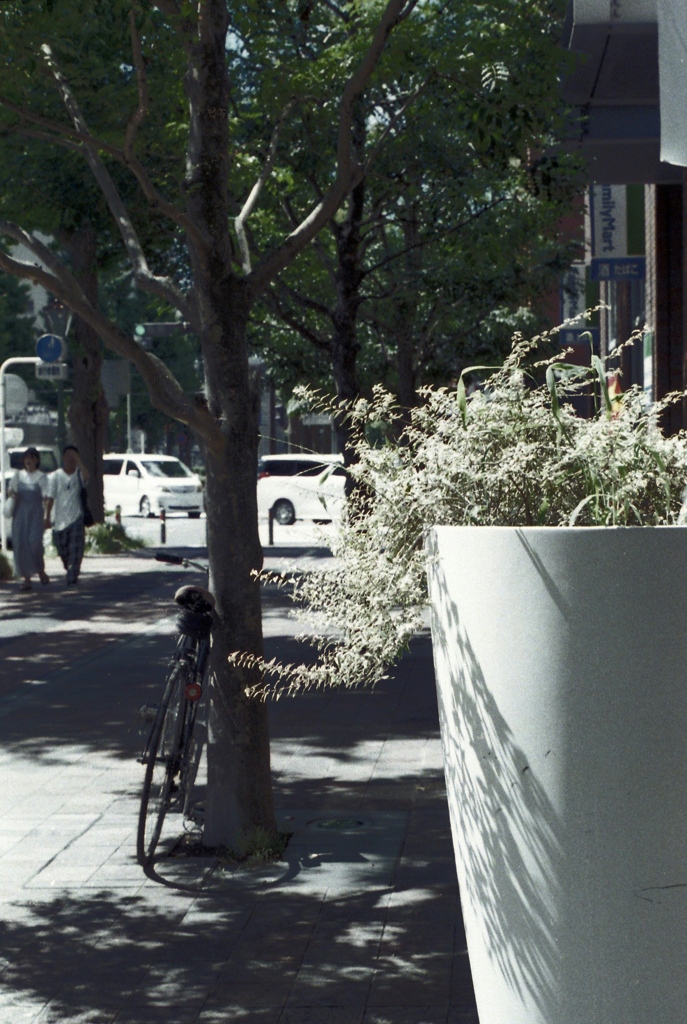 「木陰で一息」 (film)