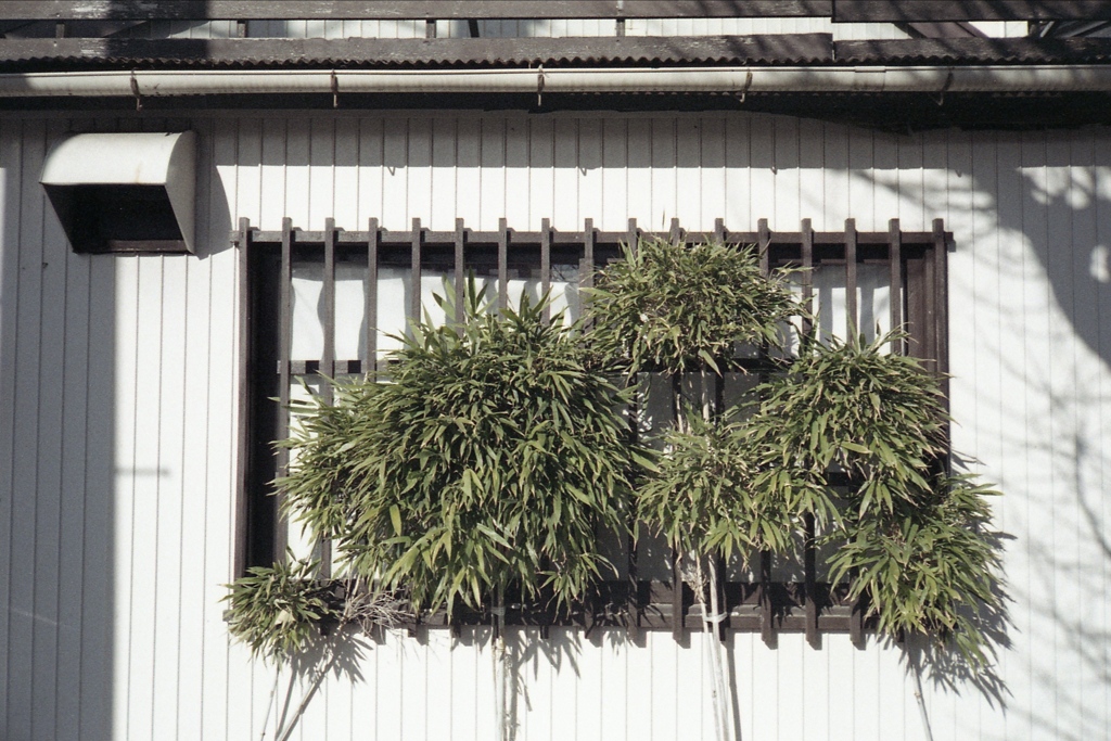 「なんだか〜良い」 (film)