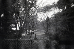 「冬公園」 (film)