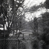 「冬公園」 (film)