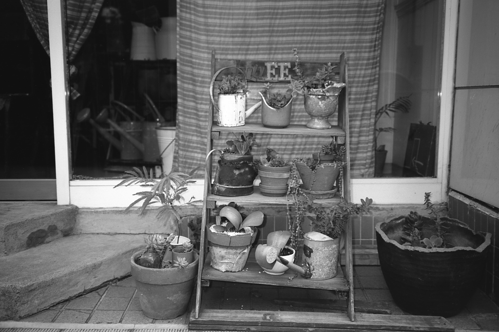 「ちょいと店先を」 (film:HR20)