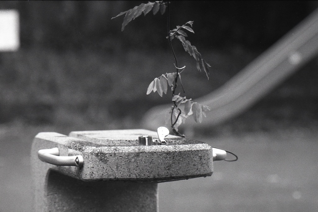 「雨上がりの公園で」 (film)