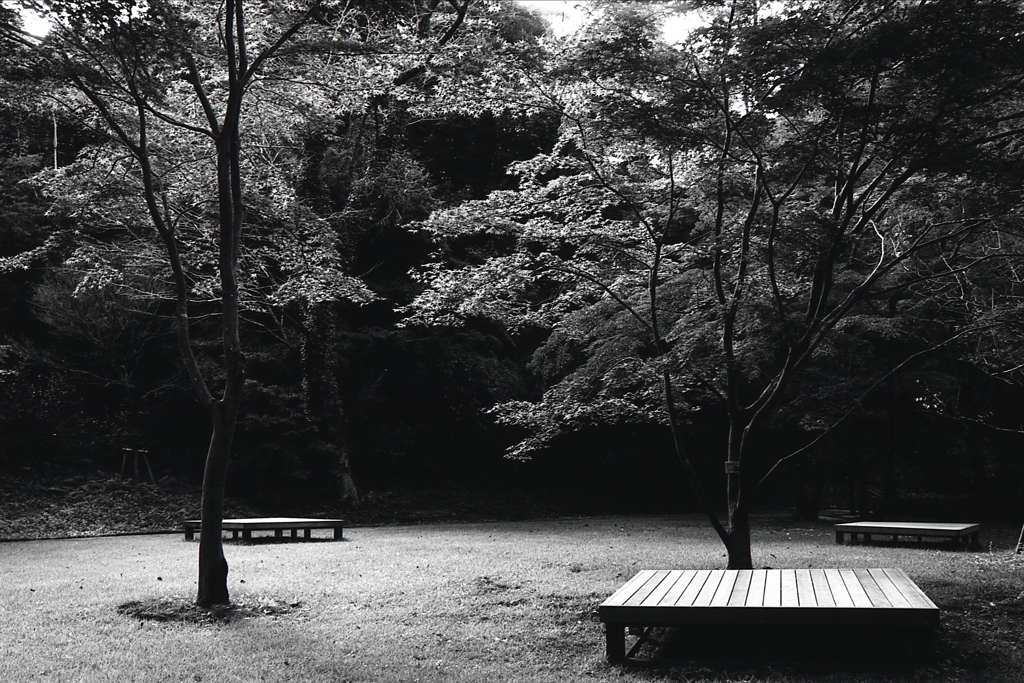 「野点（のだて）の上庭」 (film:HR20)