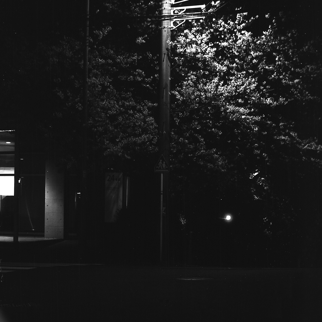 「Night」 (film:HR20)