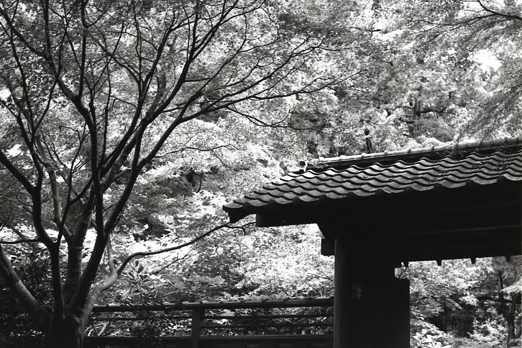 「久良岐能舞台 門:monochro」 (film:HR20)