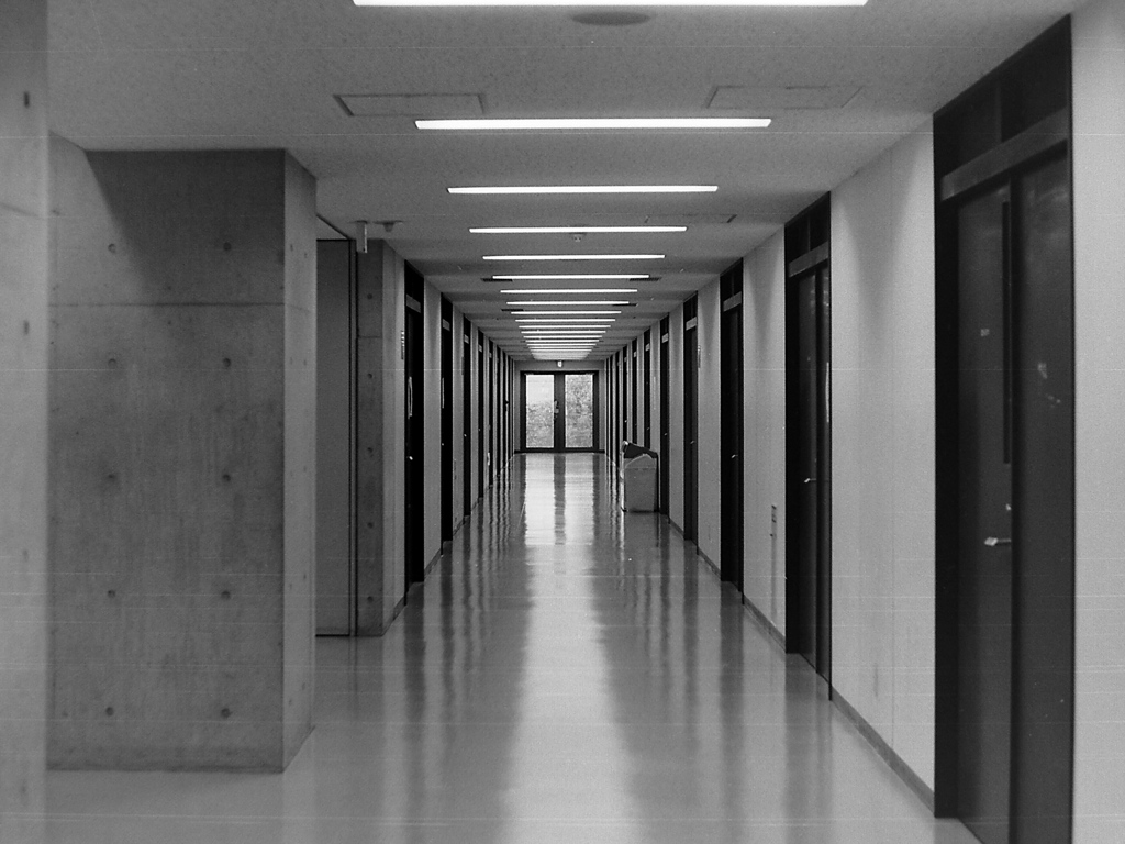 「path 02」 (film)