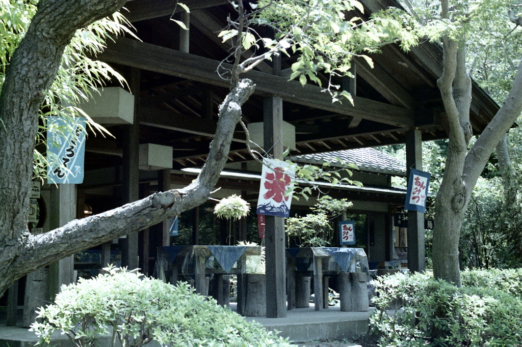 「8/11 三渓園にて」 (film)