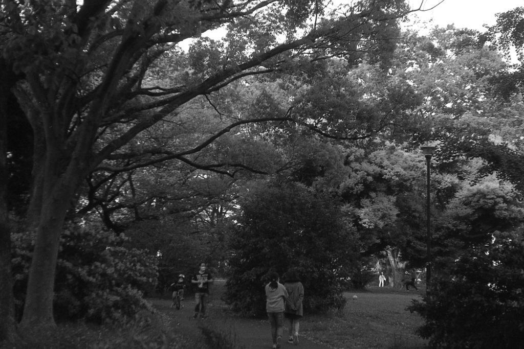 「神奈川公園」 (fflm)