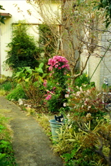 「街角カメラ07」 (film)