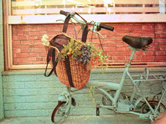 「bicycleな風景」 (film)