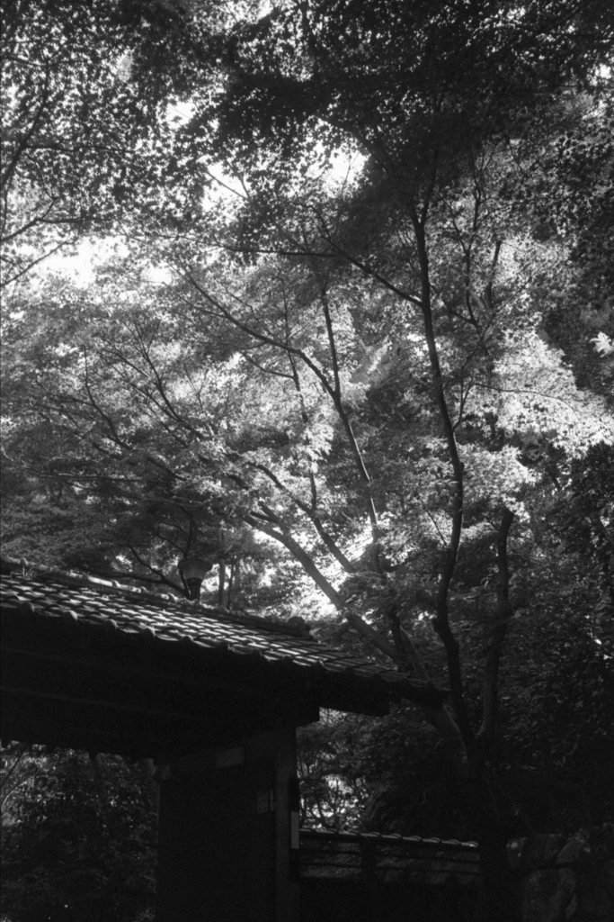 「或る初秋の日」 (film)