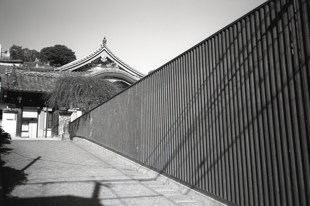 「ストライプ」 (film:HR20)