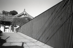 「ストライプ」 (film:HR20)