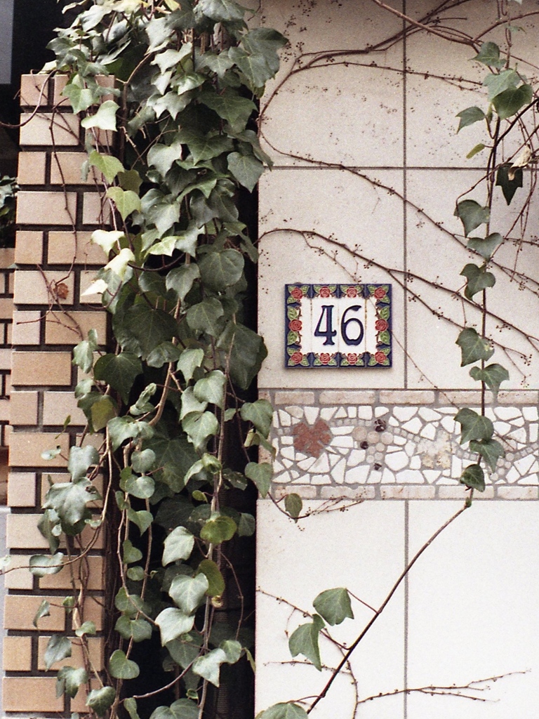 「46 (color ver.)」 (film)