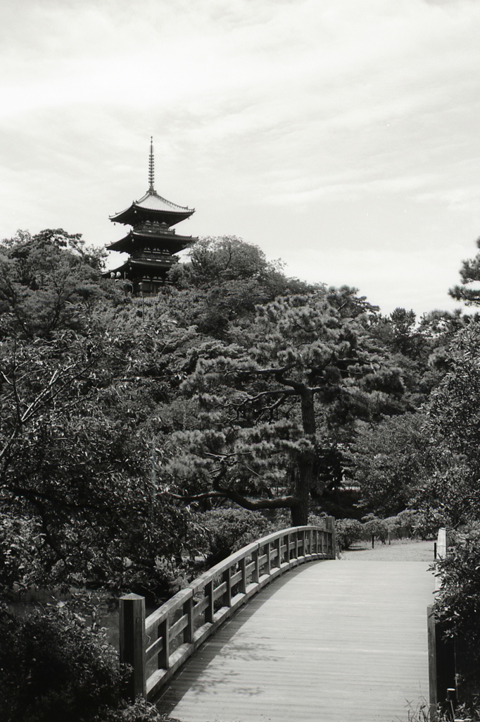 「三渓園にて」 (film:HR20)