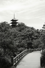 「三渓園にて」 (film:HR20)