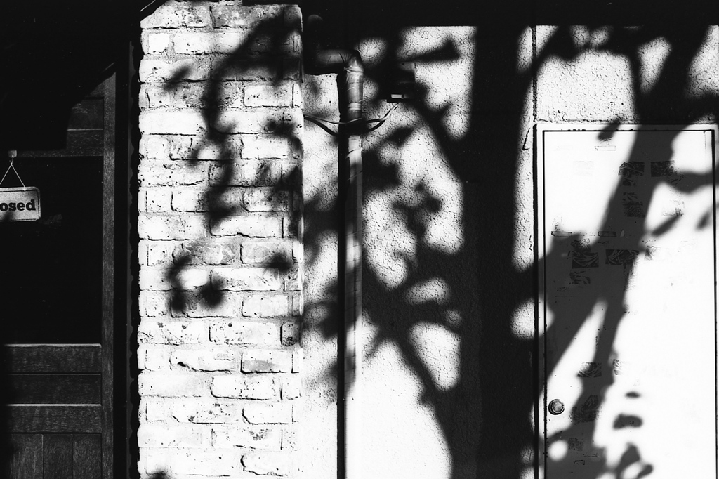 「冬の陽射し」 (Fuji microfilm HR20)