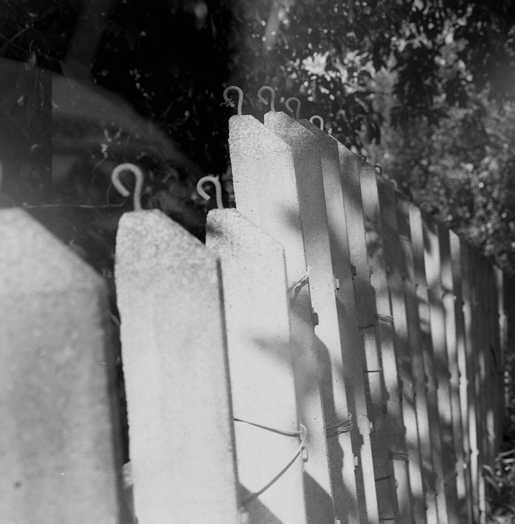 「垣根」 (film:HR20)