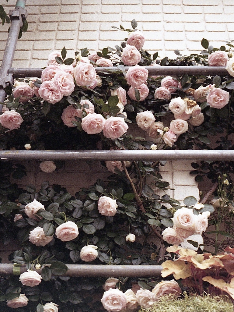 「工事中」 (film)