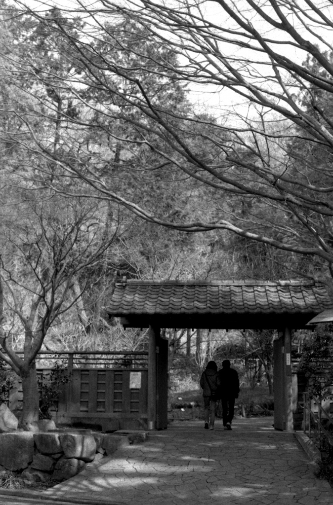 「3/1 久良岐公園 03」 (film)