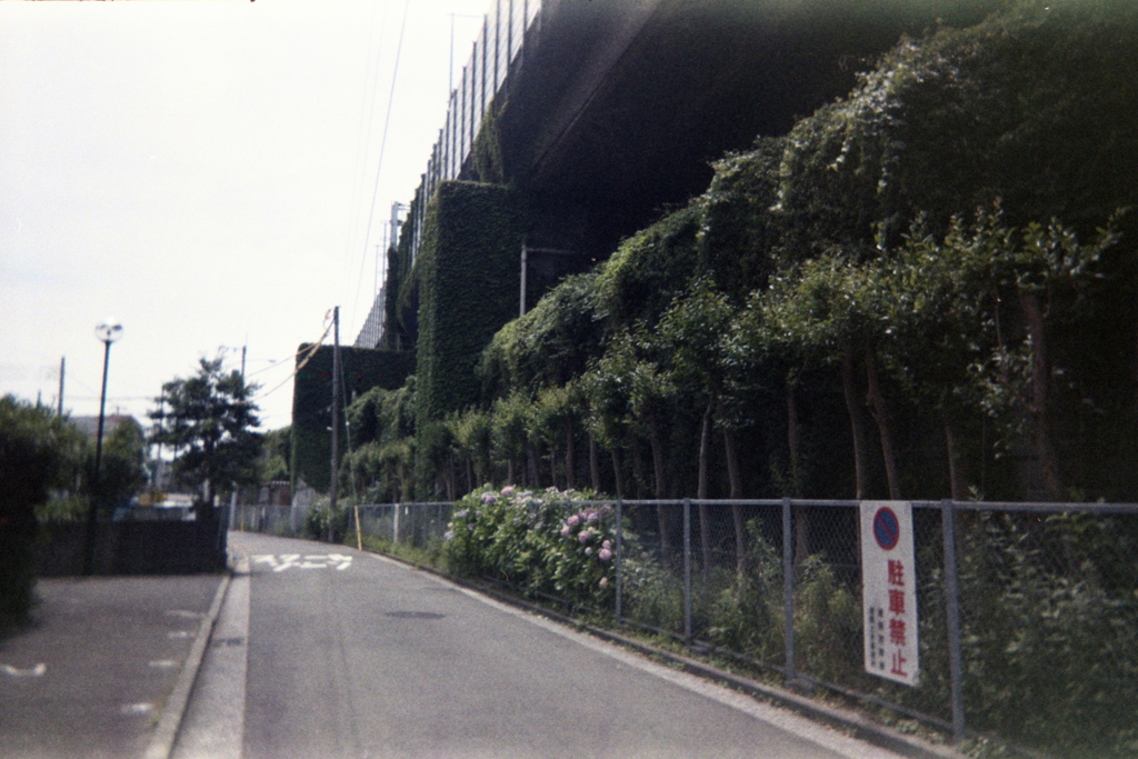 「ゆるphoto: 横横の横」 (film)