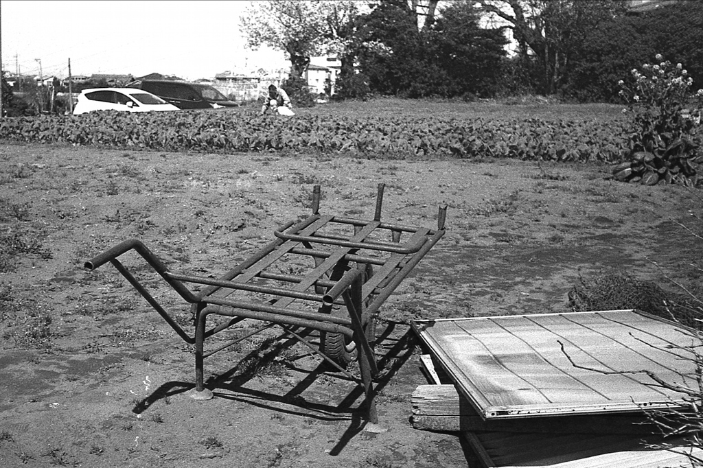 「ネコ #2」 (film)
