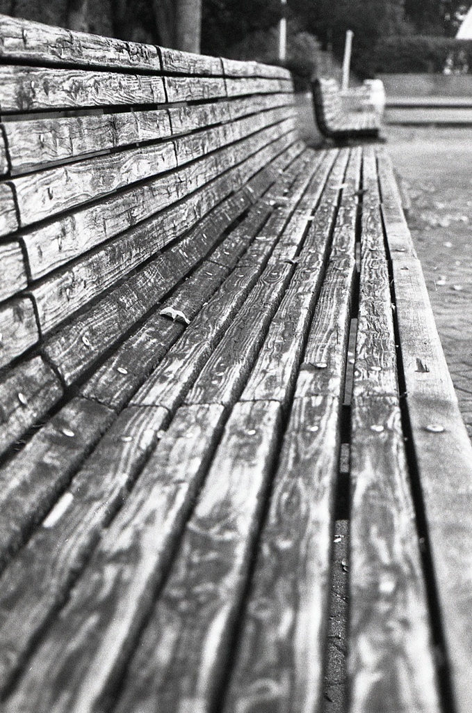 「bench」 (film)