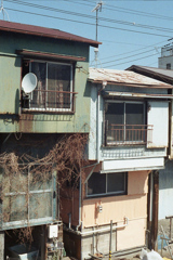 「子安 color 03」 (film)