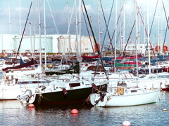 「横浜市民ヨットハーバー05 film version」 (film)