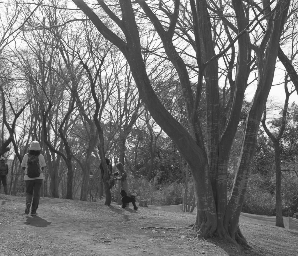 「散歩道」 (film)