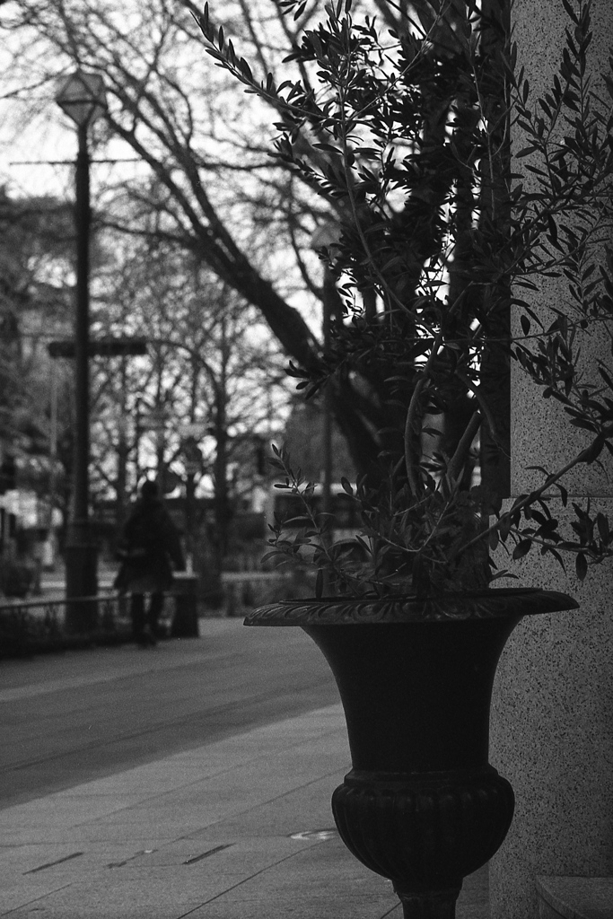 「歳暮れの街角で」 (film)
