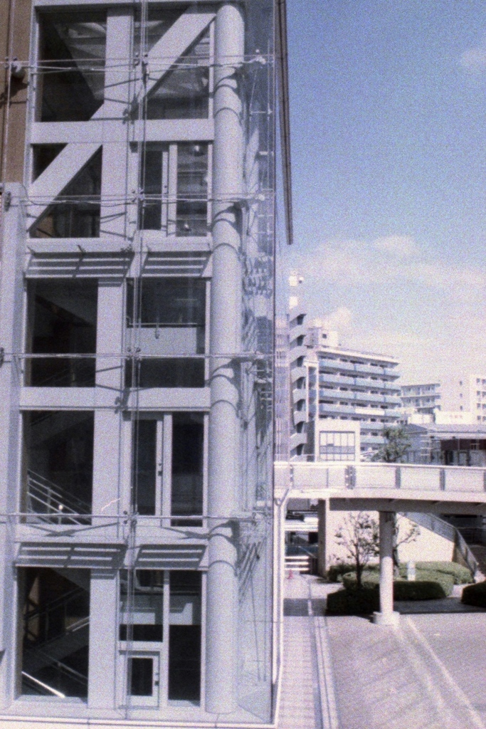 「skeleton」 (film)