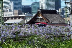 「京急仲木戸にて02」