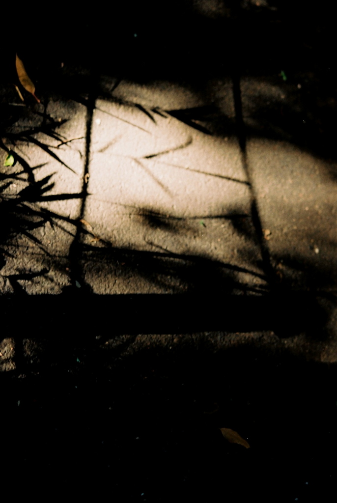 「Light & Shadow 02」 (film)