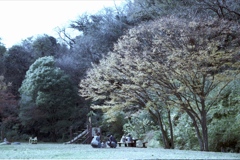 「秋公園」 (film)